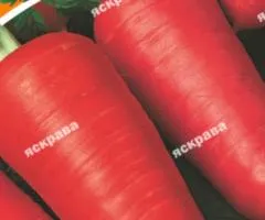 Морква Шантане 20 г, Насіння овочів, 10 шт.