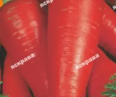Морква Яскрава 10 г, Насіння овочів, 10 шт.