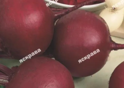Свекла столовая Деликатесная 20 г, Семена овощей, 10 шт.