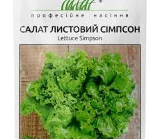 Lettuce Simpson 0.3 g, Seeds, 10 pcs.