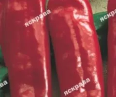 Перець гострий Полум`я 0.2 г, Насіння овочів, 20 шт.