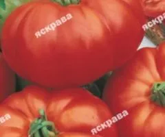 Томат Ісполін 0.1 г, Насіння овочів, 20 шт.