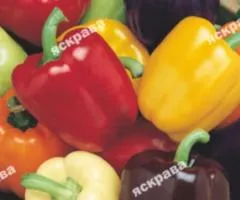 Перец Смесь кубических сортов 0,3 г, Семена овощей, 20 шт.