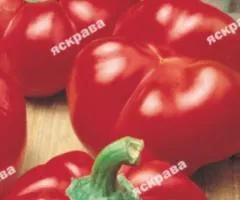 Перец Ноловогошары 0.3 г, Семена овощей, 20 шт.