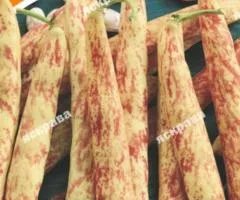 Квасоля кущова Перлина 20 г, Насіння овочів, 10 шт.