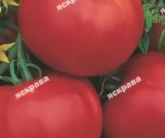 Томат Санька 3 г, Насіння овочів, 10 шт.
