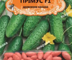 Cucumber for open ground Primus F1 (JAR) 50 seeds (50 pcs), Seeds, 50 pcs