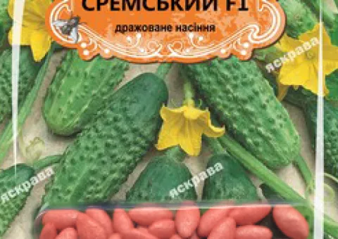 Cucumber for pickling Sremskiy F1 (JAR) 50 seeds (50 pcs), Seeds, 50 pcs
