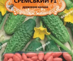Cucumber for pickling Sremskiy F1 (JAR) 50 seeds (50 pcs), Seeds, 50 pcs