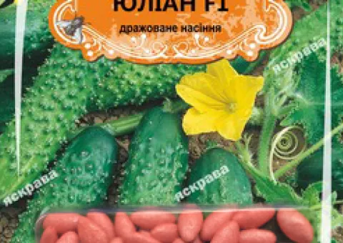 Cucumber for pickling Yulian F1 (JAR) 50 seeds (50 pcs), Seeds, 50 pcs