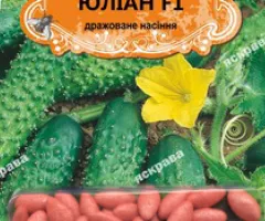 Cucumber for pickling Yulian F1 (JAR) 50 seeds (50 pcs), Seeds, 50 pcs