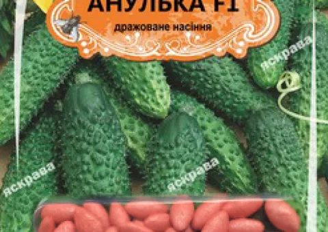 Cucumber gherkin for pickling Anulka F1 (JAR) 50 seeds, Seeds, 50 pcs.