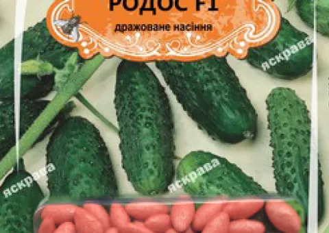 Cucumber gherkin for pickling Rodos F1 (JAR) 50 seeds (50 pcs), Seeds, 50 pcs