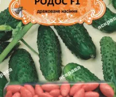 Cucumber gherkin for pickling Rodos F1 (JAR) 50 seeds (50 pcs), Seeds, 50 pcs