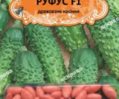 Cucumber gherkin for pickling Rufus F1 (JAR) 50 seeds (50 pcs), Seeds, 50 pcs