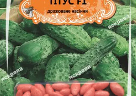 Cucumber gherkin for pickling Titus F1 (JAR) 50 seeds (50 pcs), Seeds, 50 pcs