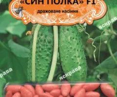Cucumber gherkin for pickling Syn Polka F1 (JAR) 25-35 seeds (50 pcs), Seeds, 50 pcs