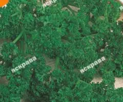 Петрушка кудрявая Парамонт 20 г, Семена овощей, 10 шт.
