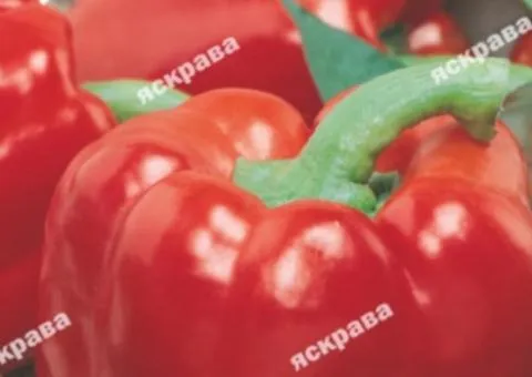 Pepper 'Red Riding Hood' 0.3 g, Vegetable Seeds, 20 pcs
