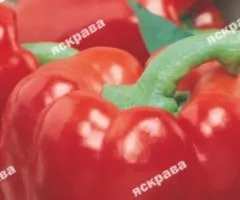 Перец Красная Шапочка 0.3 г, Семена овощей, 20 шт.