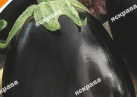 Eggplant 'Chornyi Krasen' 0.3 g, Vegetable Seeds, 20 pcs
