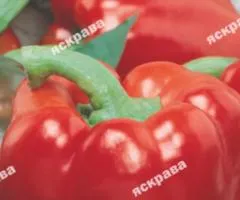 Перец Асти красный 0.3 г, Семена овощей, 20 шт.