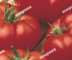 Томат Марманде 0.2 г, Насіння овочів, 20 шт.