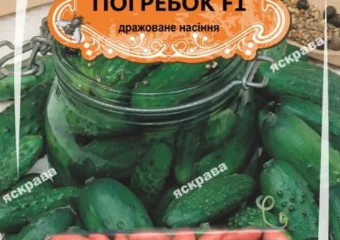 Cucumber for pickling Pogrebok F1 (JAR) 50 seeds (50 pcs), Seeds, 50 pcs