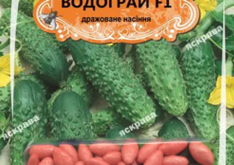 Cucumber for pickling Vodogray F1 (JAR) 50 seeds (50 pcs), Seeds, 50 pcs