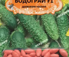 Cucumber for pickling Vodogray F1 (JAR) 50 seeds (50 pcs), Seeds, 50 pcs