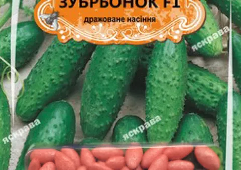 Огірок д/ж Зубрьонок F1 (БАНКА) 50нас (50шт), Насіння, 50 шт.