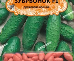 Cucumber for pickling Zubrionok F1 (JAR) 50 seeds (50 pcs), Seeds, 50 pcs
