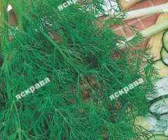 Укроп Харьковский 20 г, Семена овощей, 10 шт.