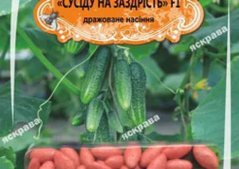 Огірок-корнішон д/ж Сусіду на заздрість F1(БАНКА) 50нас (50шт), Насіння, 50 шт.