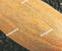 Дыня Карамель 10 г, Семена овощей, 10 шт.