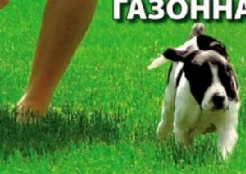 Трава газонна Універсальна 400 г, Насіння, 20 шт.