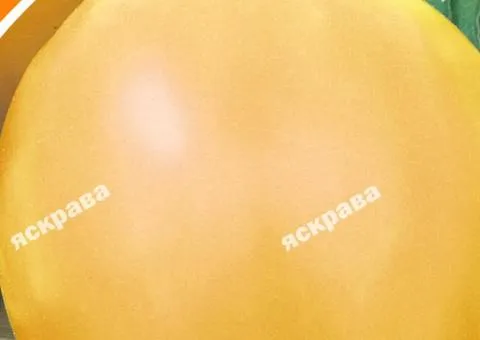 Томат Медовий бочонок 0.1 г, Насіння овочів, 20 шт.