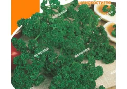 Петрушка кудрявая Парамаунт 10 г, Семена овощей, 10 шт.