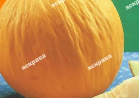 Дыня Золотистая 20 г, Семена овощей, 10 шт.