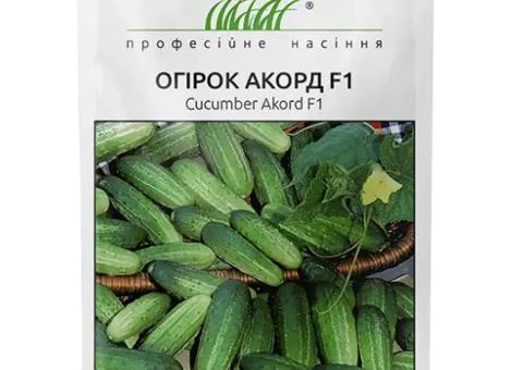 Огірок Акорд F1 20 шт, Насіння, 10 шт.