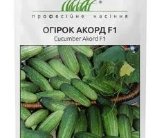 Огірок Акорд F1 20 шт, Насіння, 10 шт.