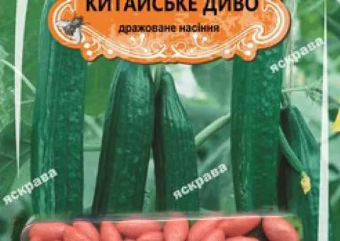Огурец д/ж Китайське диво F1(БАНКА) 25-35нас, Насіння, 50 шт.