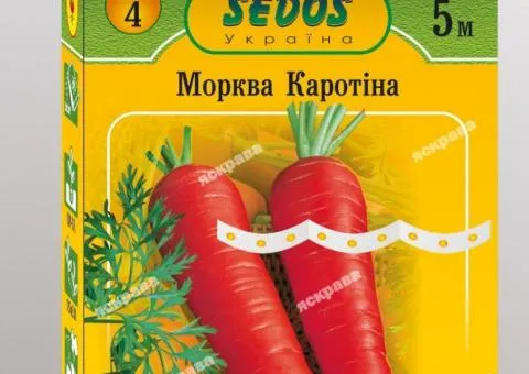Морква на стрічці Каротина 5м, Насіння, 10 шт.