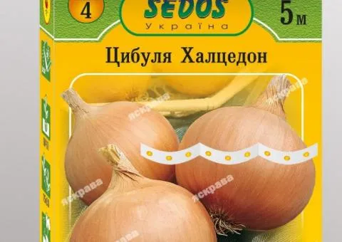 Цибуля на стрічці ріпчаста Халцедон 5 м, Насіння, 10 шт.