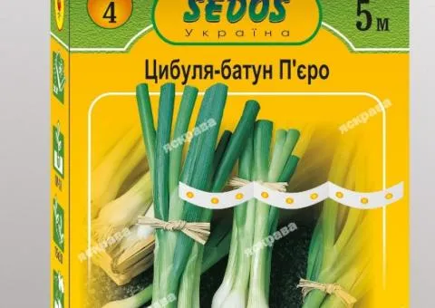 Цибуля на стрічці батун П`єро 5 м, Насіння, 10 шт.