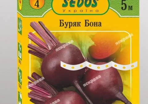 Буряк столовий на стрічці Бона 5м, Насіння, 10 шт.
