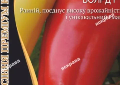 Перець Боярд F1 8 нас Premium, Насіння, 25 шт.