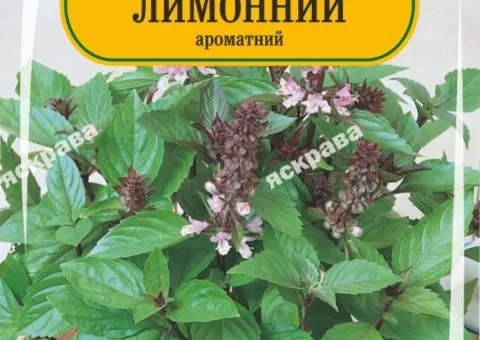 Базилік зелений лимонний 0.3 г, Насіння, 25 шт.