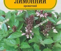 Базилік зелений лимонний 0.3 г, Насіння, 25 шт.