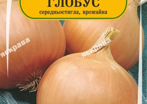 Цибуля Глобус 180-220 нас, Насіння, 25 шт.